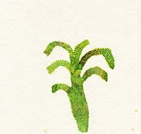 Event-image