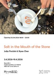 Salt_poster_fin